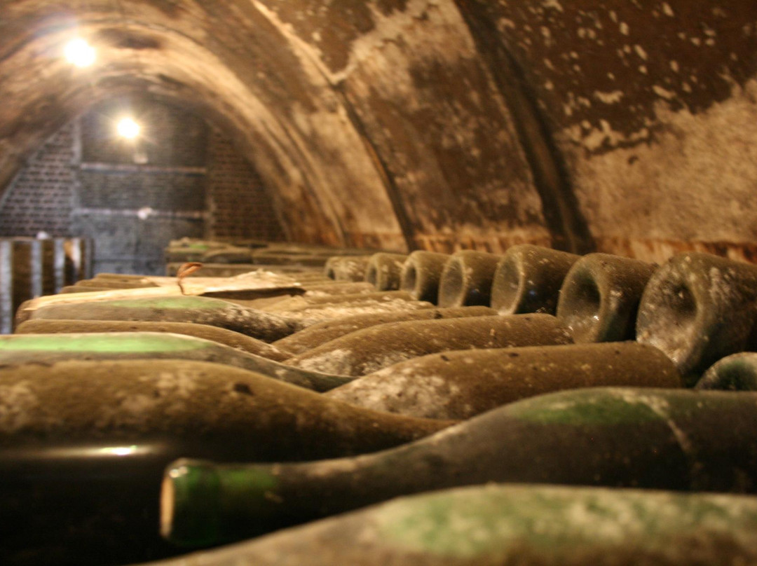 Ecozezere - Vineyard Tours景点图片