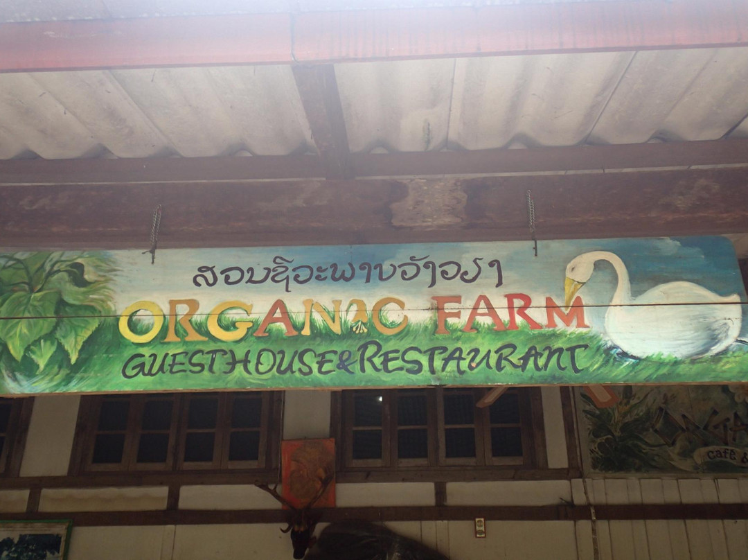 Organic Farm - Cooking Classes-旺阳必去景点