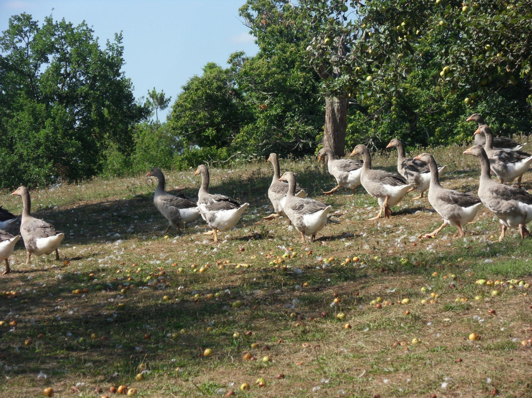 Ferme du Brusquand-Marquay必去景点