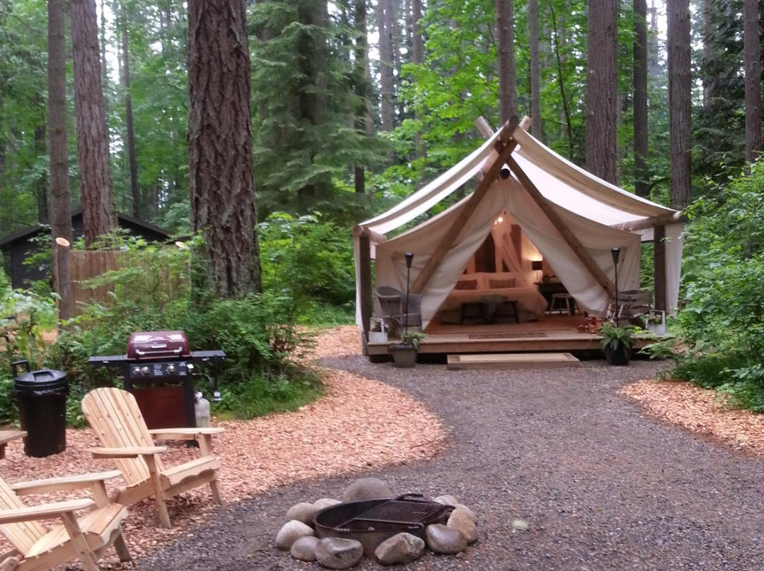 Pampered Wilderness
