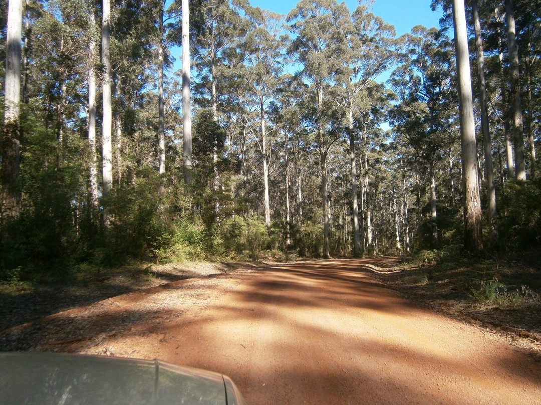 Gloucester National Park-彭伯顿必去景点