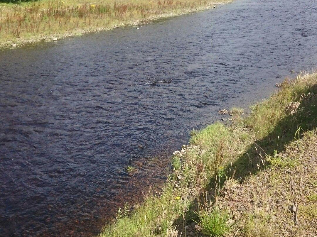Caistron Trout Fishery & River-Rothbury必去景点