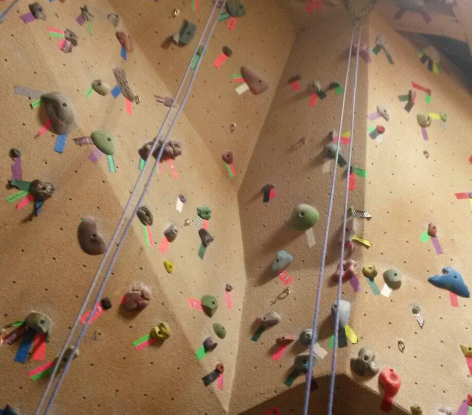 Dogtooth Climbing Gym-戈尔登必去景点