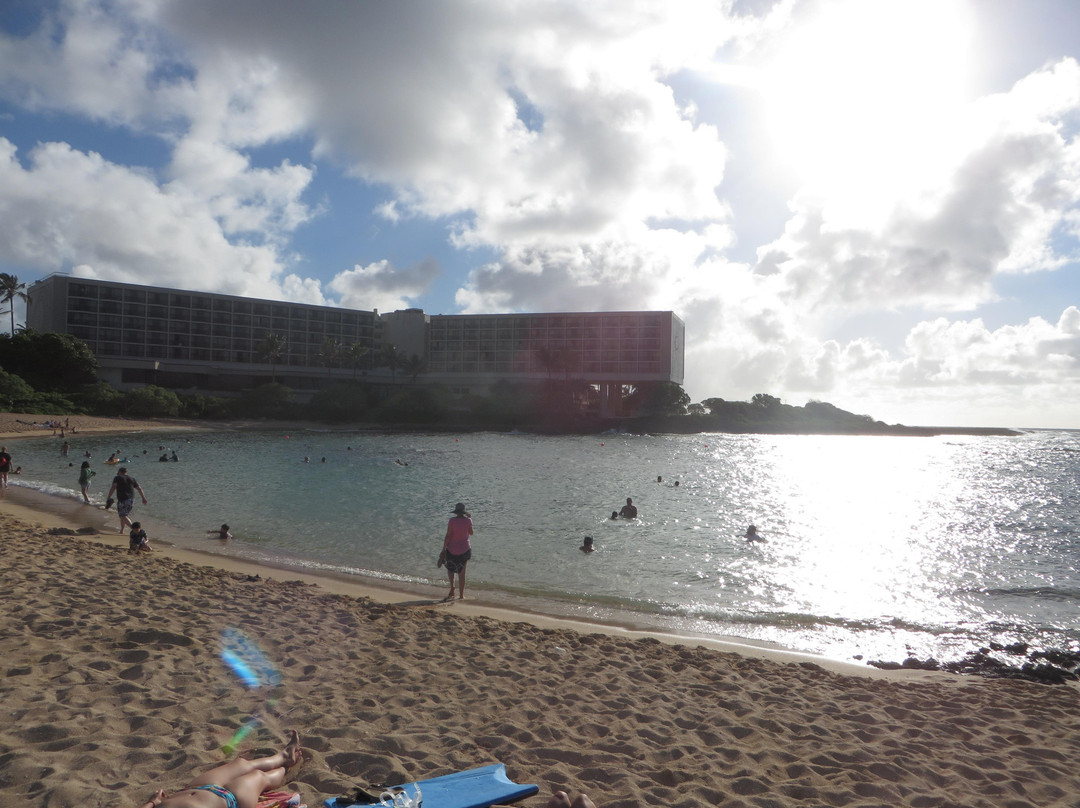 Turtle Bay Beach-卡胡库必去景点