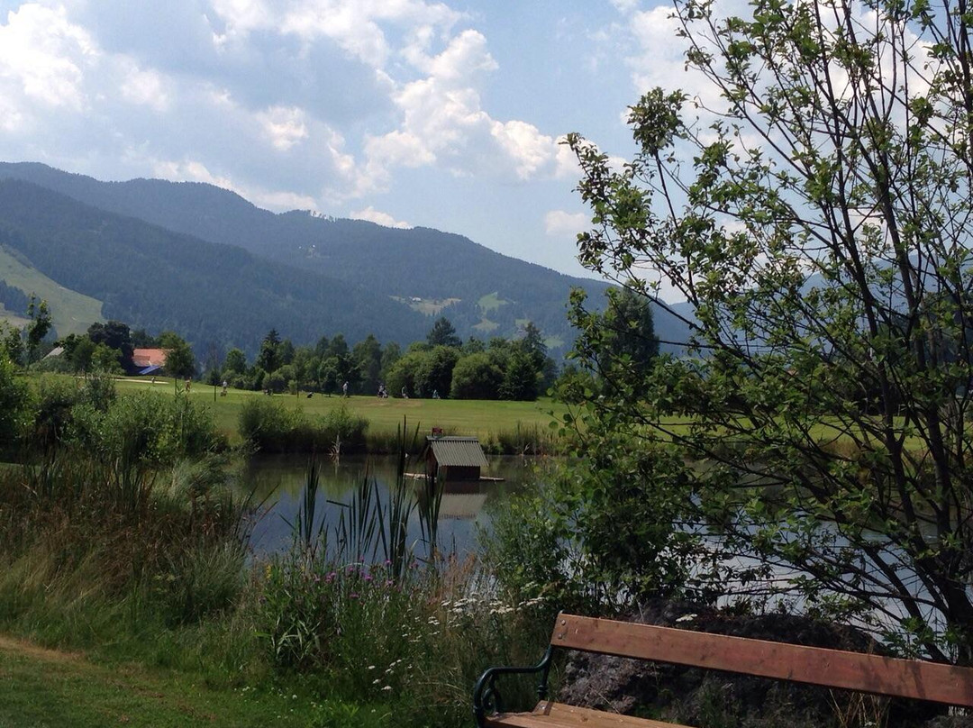 Golfclub Murau - Kreischberg景点图片