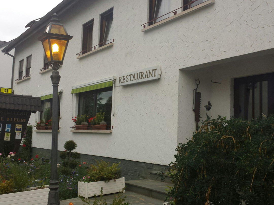Logis Hostellerie Val Fleuri主图