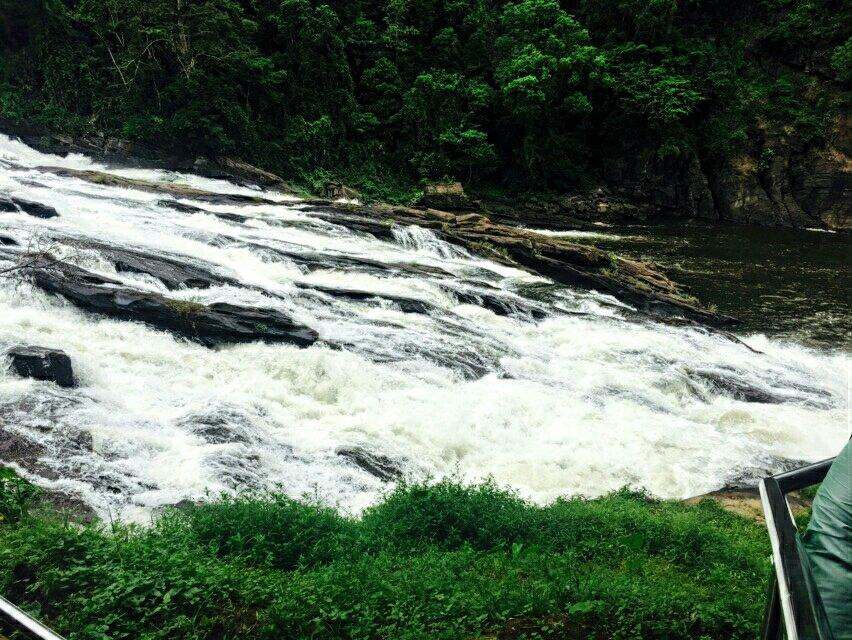 Vazhachal Waterfalls-德里久尔必去景点