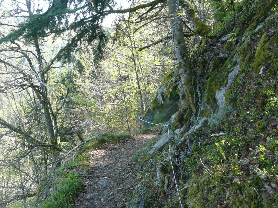 Felsenweg Höchenschwand景点图片
