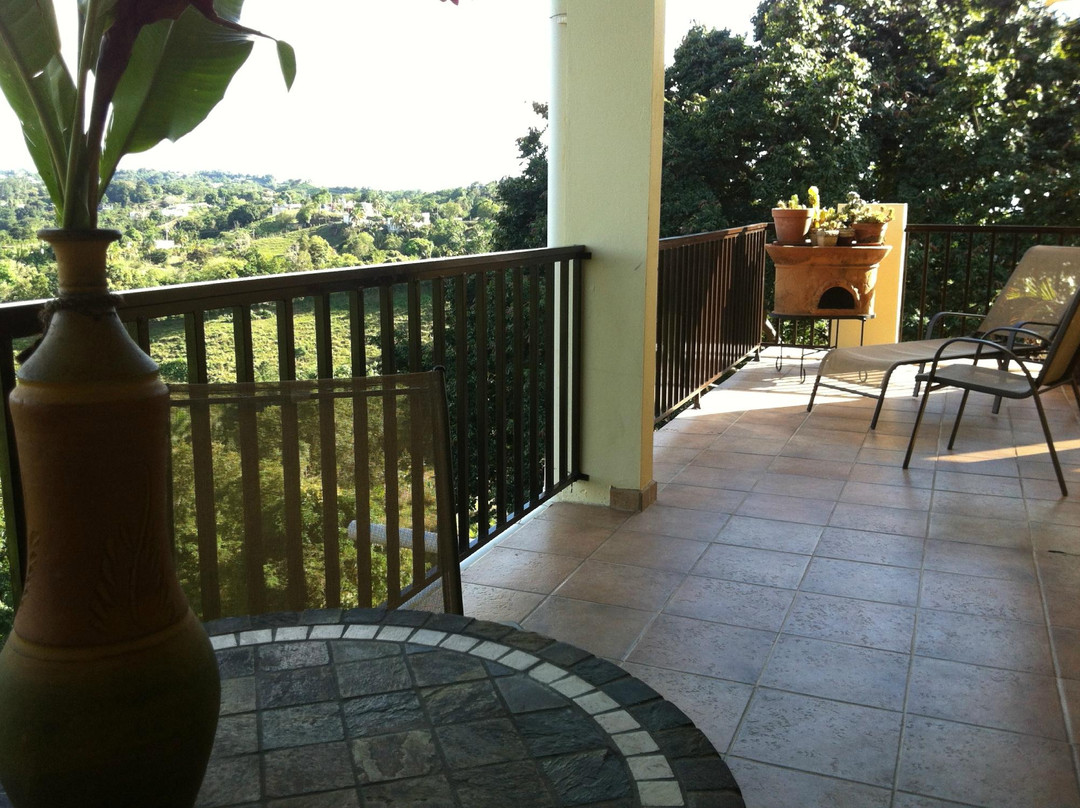 The Terraces at Rincon主图