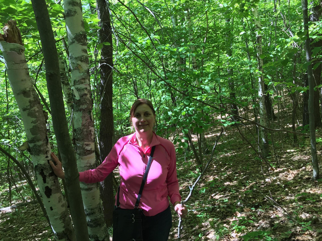 Mountain Meadow Preserve-威廉斯敦必去景点