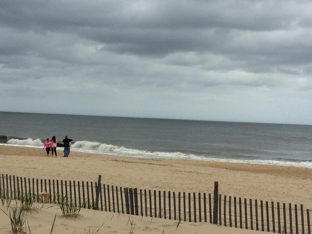 Fort Miles Historic Area at Cape Henlopen State Park-刘易斯必去景点