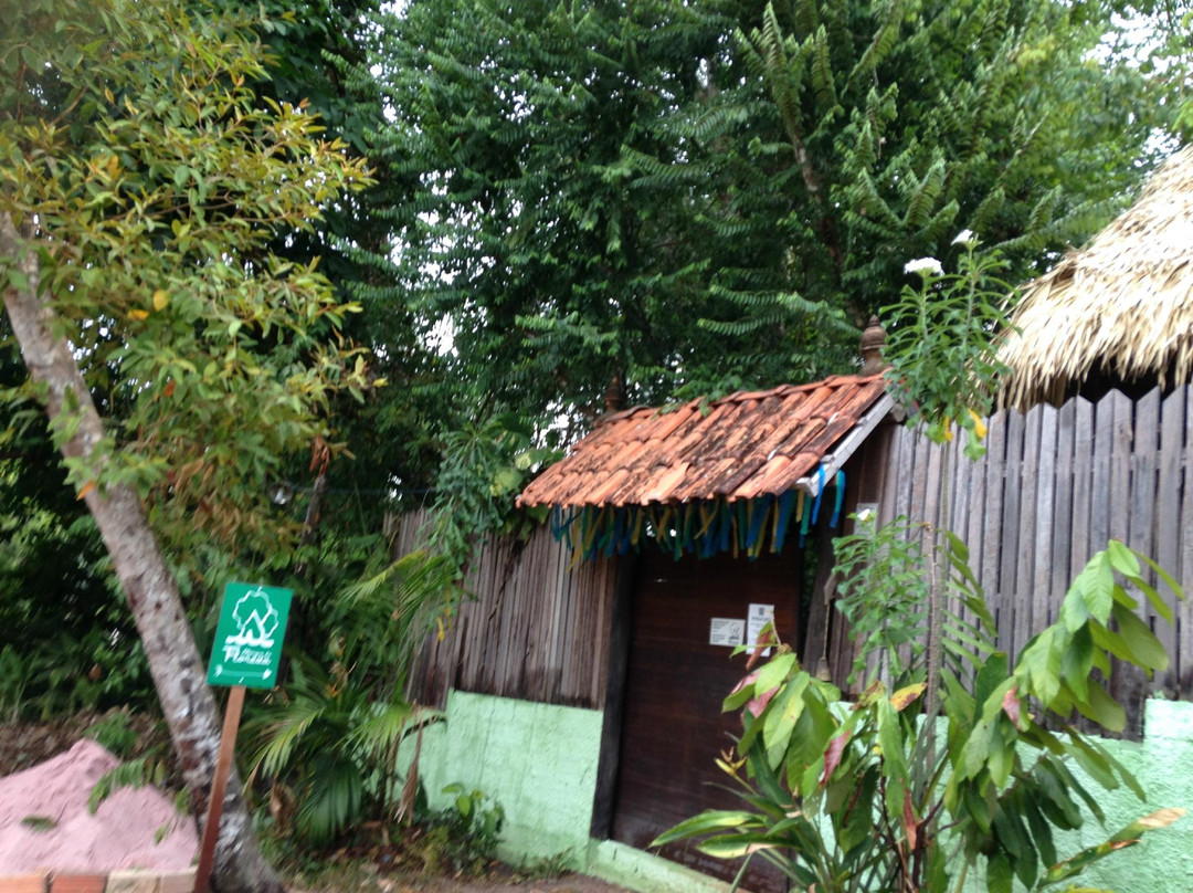 Albergue da Floresta