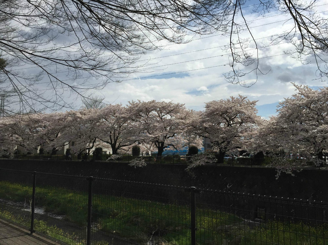 Tachikawa Park-立川市必去景点