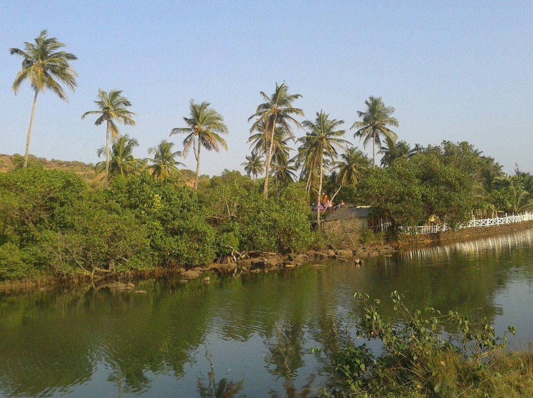 Mandrem Beach-Mandrem必去景点