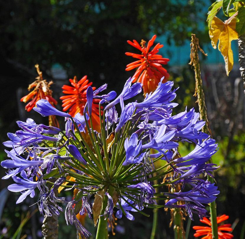 Hotel Brisas Del Nevado主图