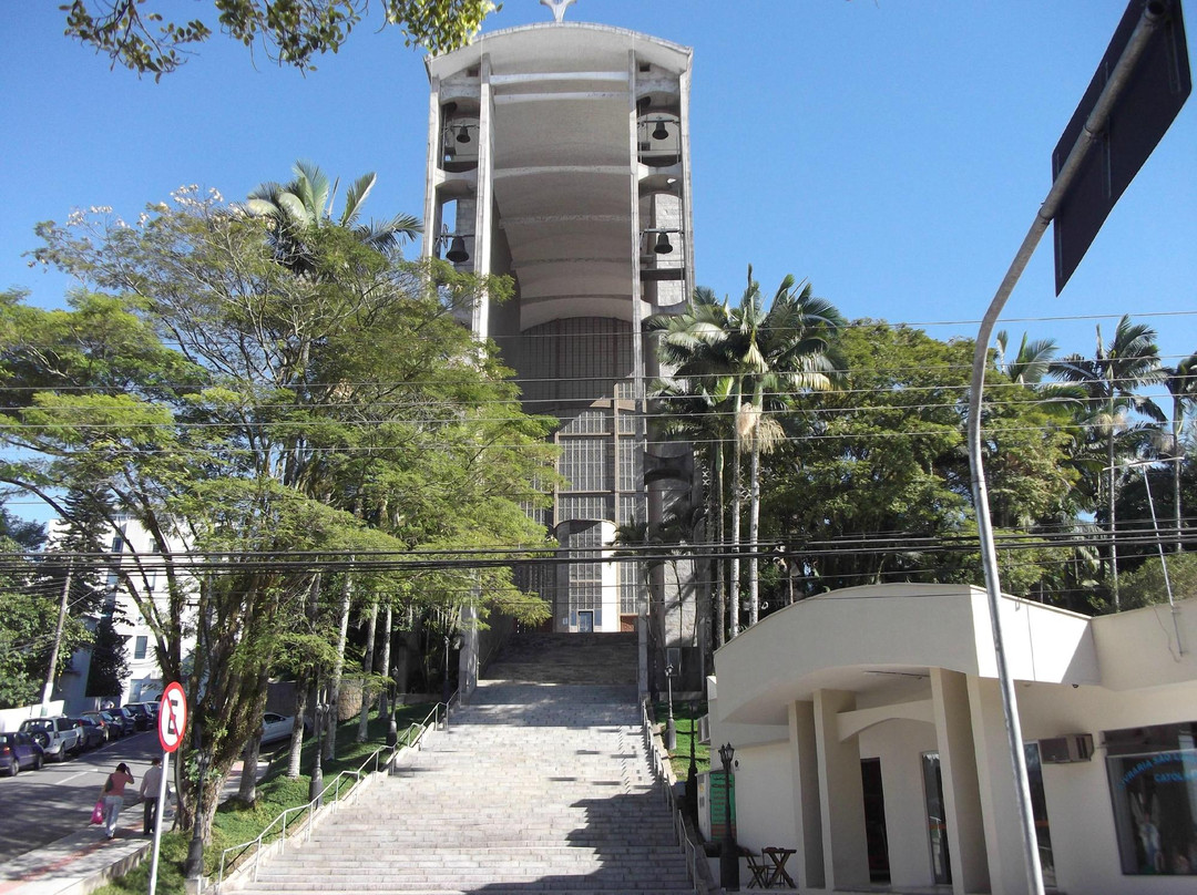 Matriz de Sao Luiz Gonzaga Church景点图片