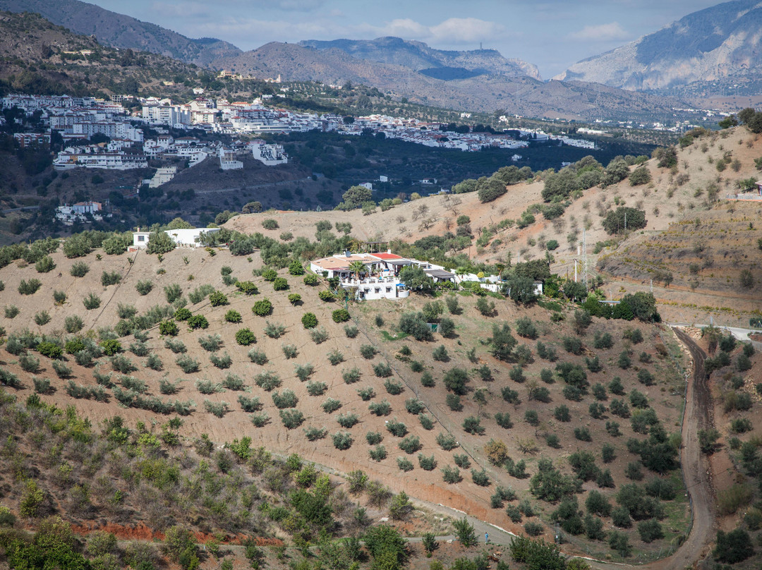 Casa Alora