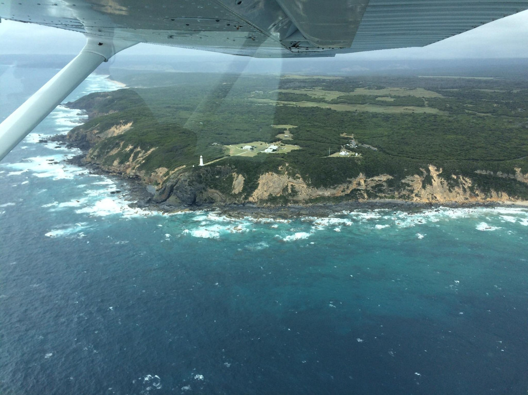 Apollo Bay Aviation景点图片