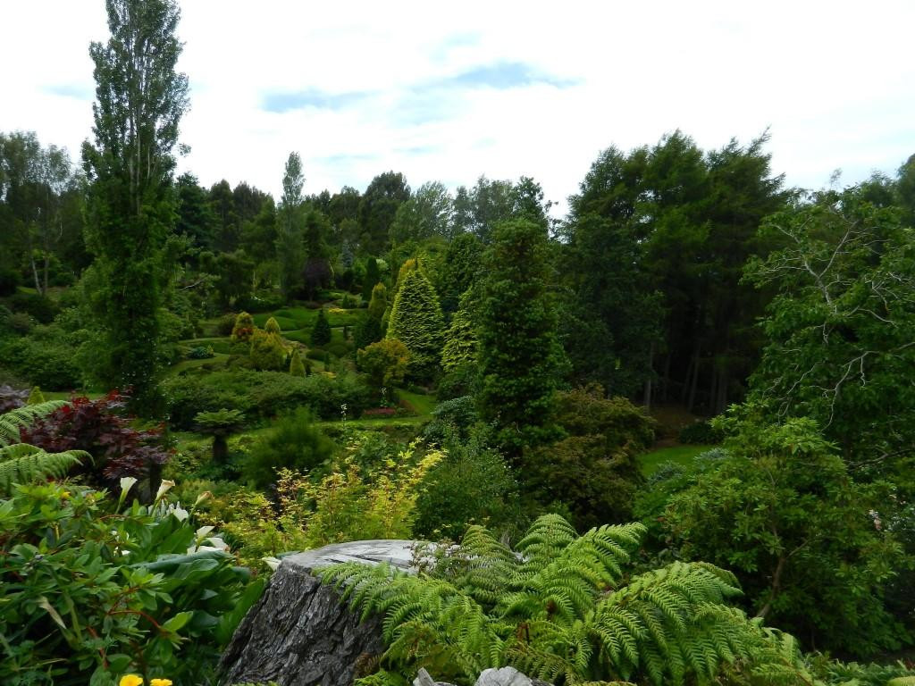 Maple Glen Gardens景点图片