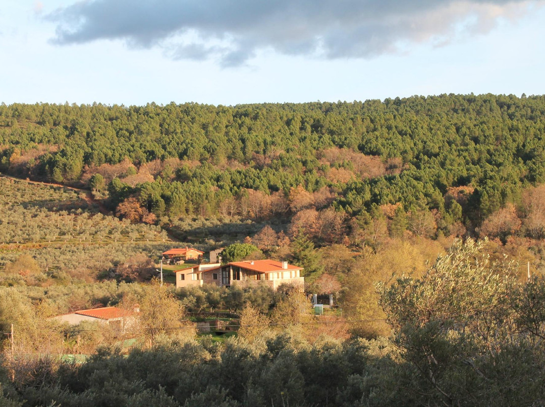 El Molino de los Pilares主图