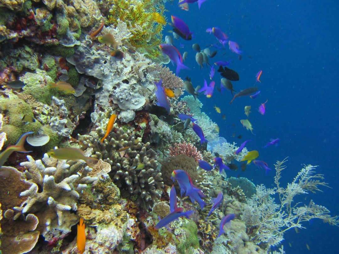 Alcoy Fun Divers-Alcoy必去景点
