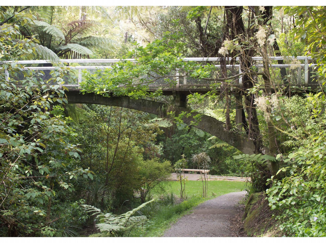 Central Park-惠灵顿必去景点