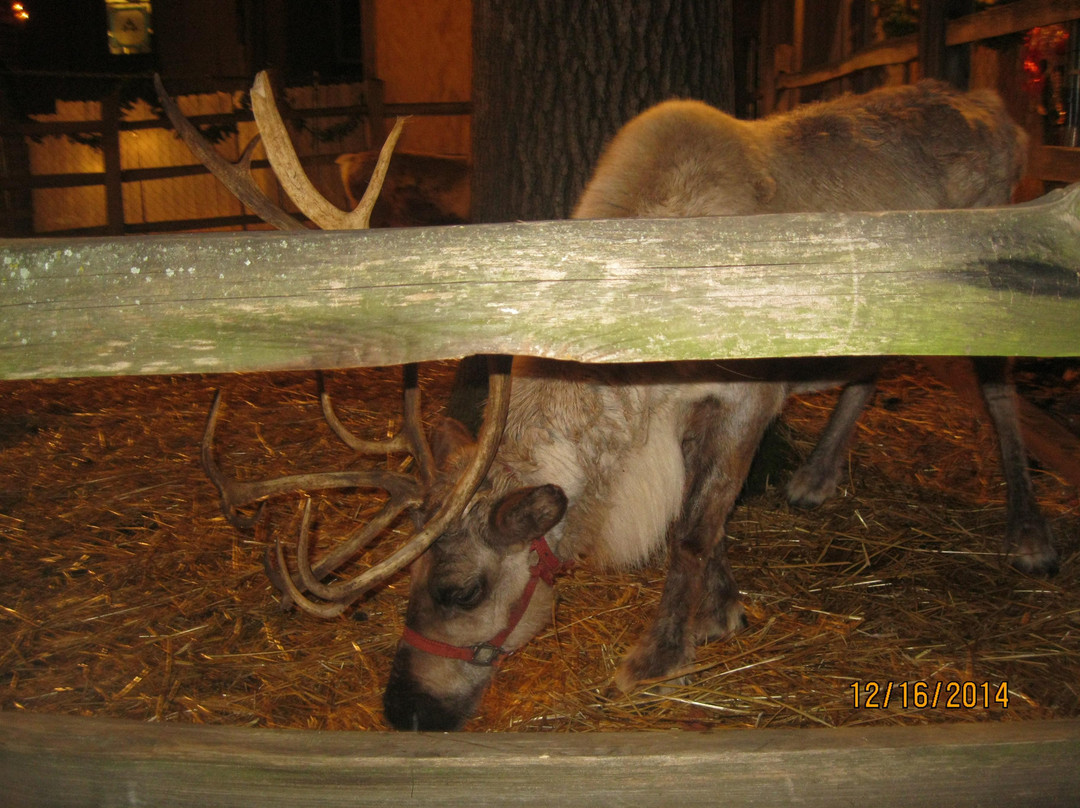 Alabama Constitution Hall Park-亨茨维尔必去景点