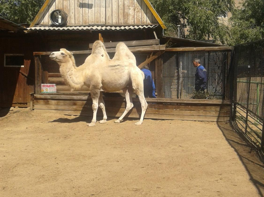 Chita City Zoo-赤塔必去景点