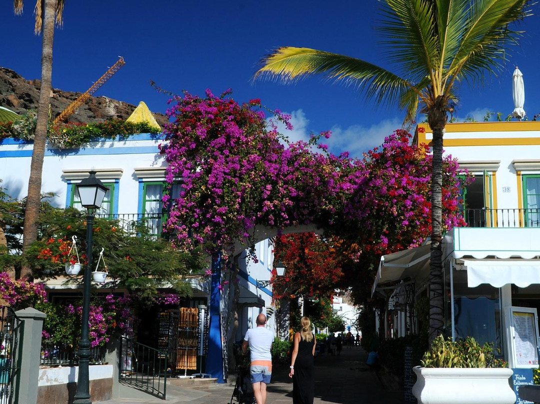 Playa de Mogan景点图片