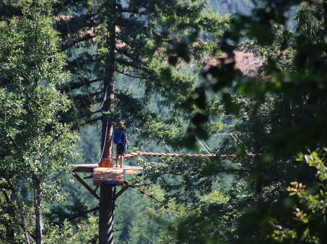 Pumpkin Ridge Zip Tour-North Plains必去景点