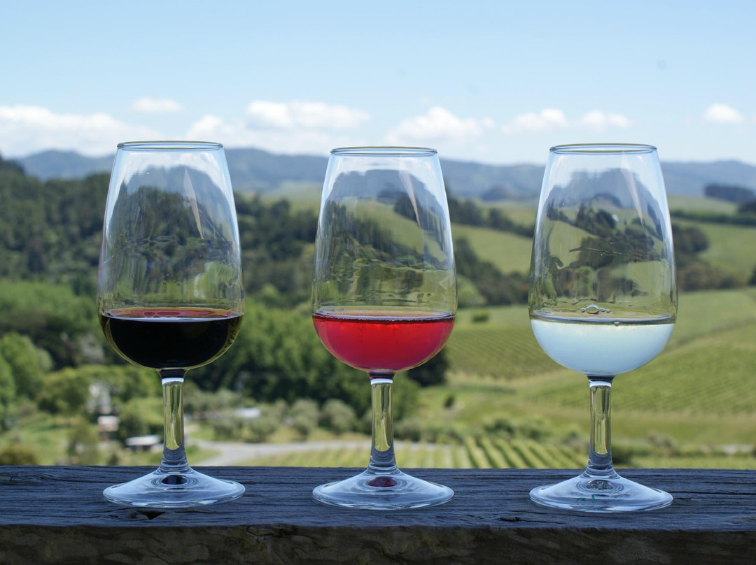 Matakana Tours-马塔卡纳小镇必去景点