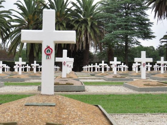 Zonderwater Italian POW-柯立南必去景点