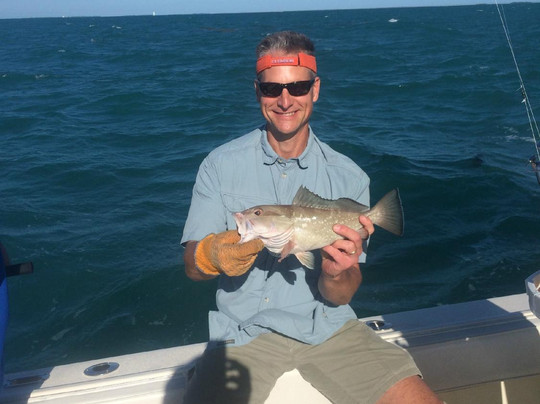 Catch 'Em All-马拉松必去景点