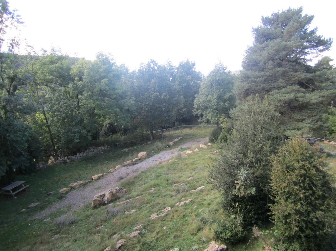 Hostal Rural Falgars主图