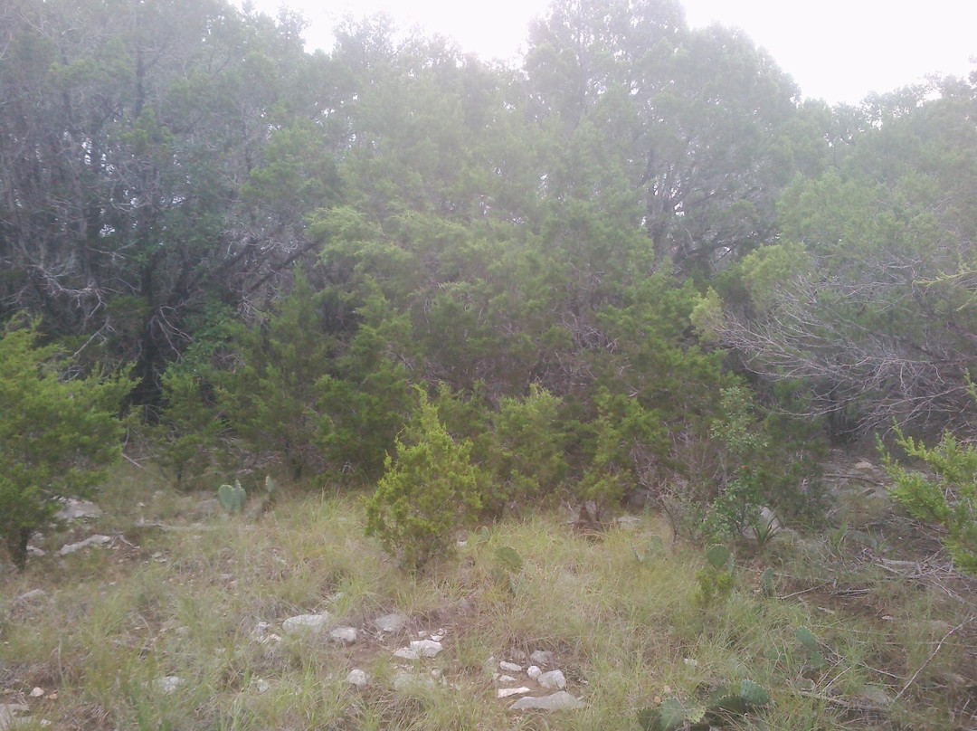 Balcones Canyonlands National Wildlife Refuge-Marble Falls必去景点