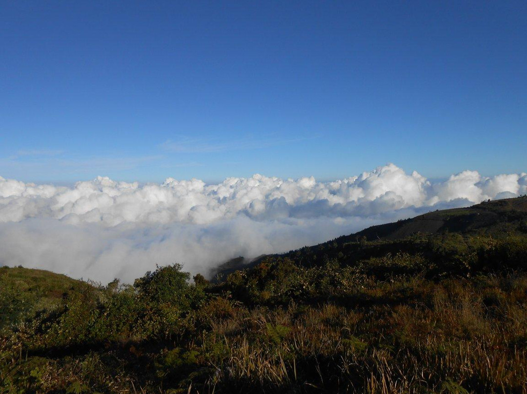 Puncak B29-Lumajang必去景点