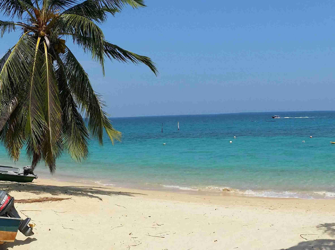 Tioman Dive Buddy景点图片