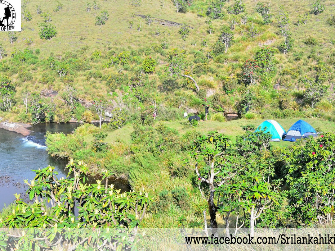 Camping at Horton Plains-Ohiya必去景点