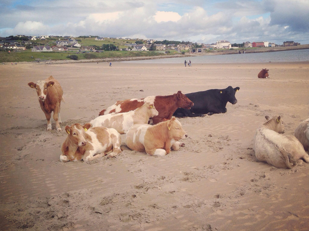 Mullaghmore Coast景点图片