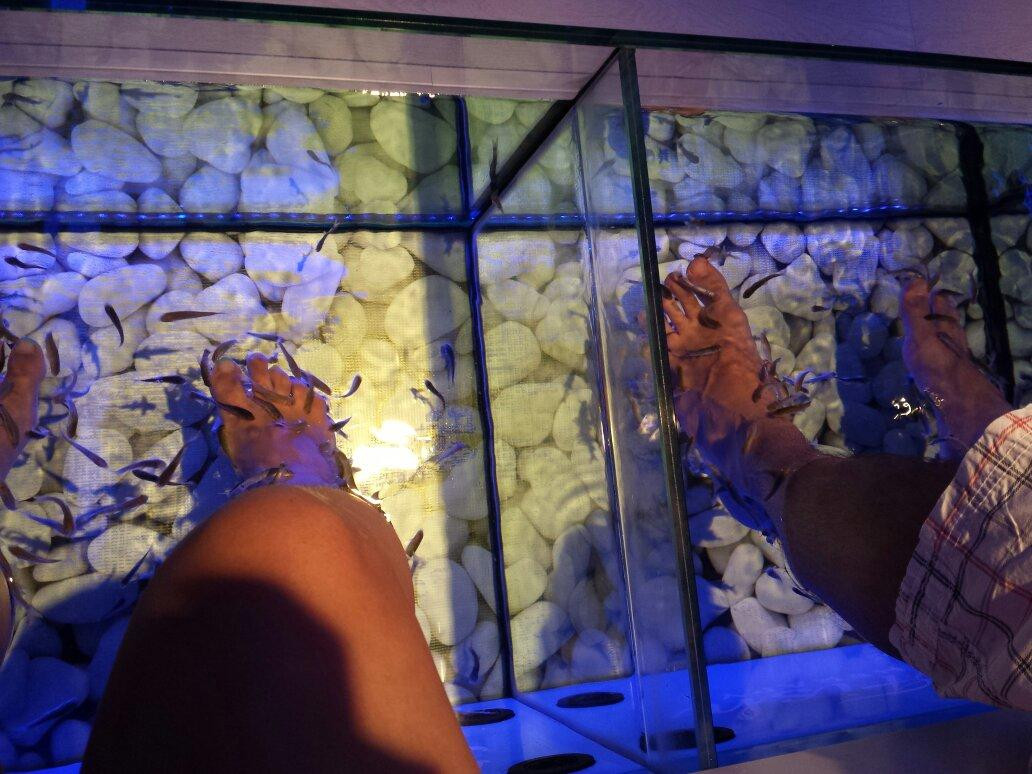 Doctor Fish Spa Therapy Sissi-Sissi必去景点