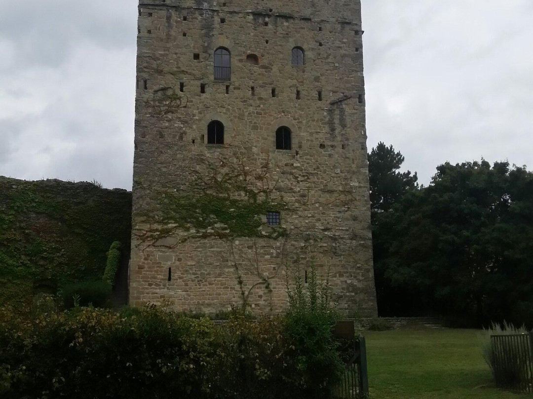 Castello di Porciano景点图片