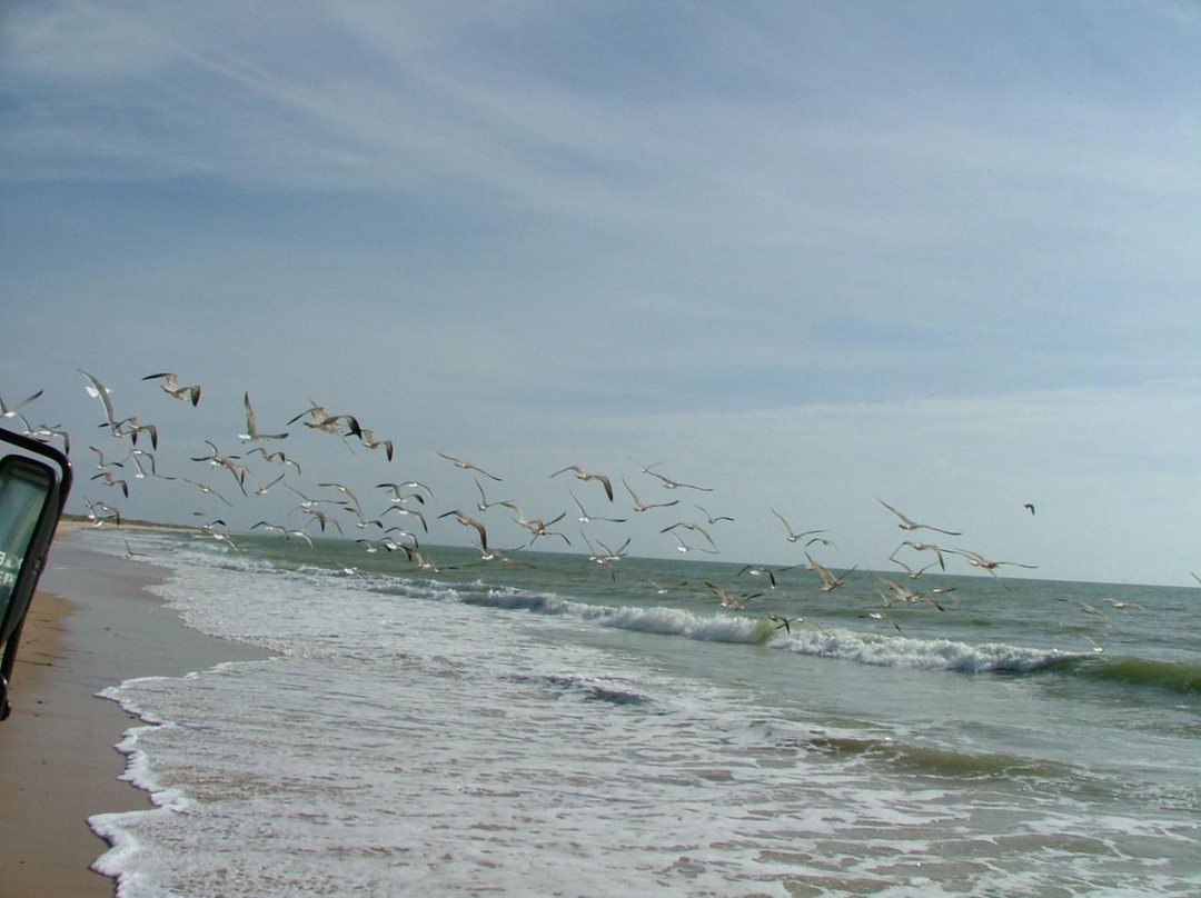 Parque Nacional de Doñana-阿尔蒙特必去景点