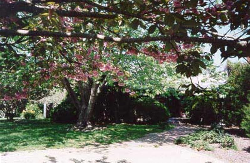 Bend in the Road Guest House主图