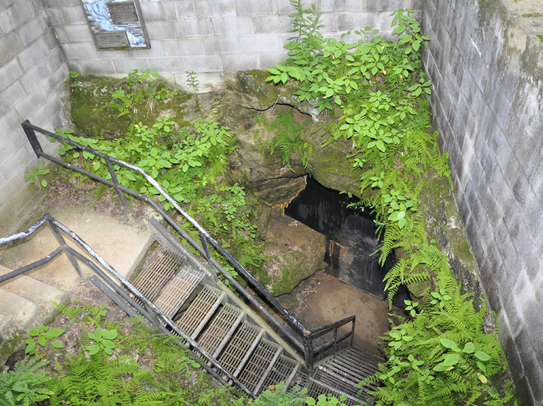 Ledge View Nature Center-Chilton必去景点