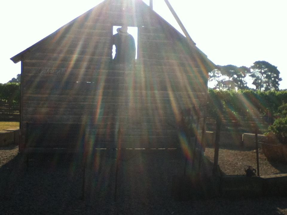 Oakdene Vineyards-Wallington必去景点