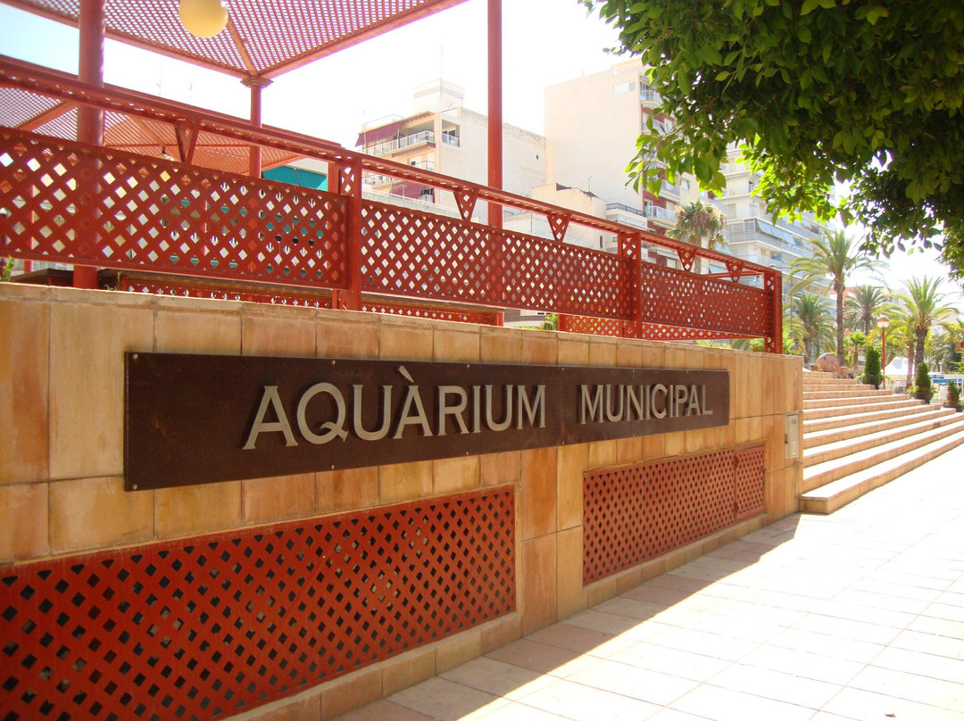 Acuario Municipal景点图片