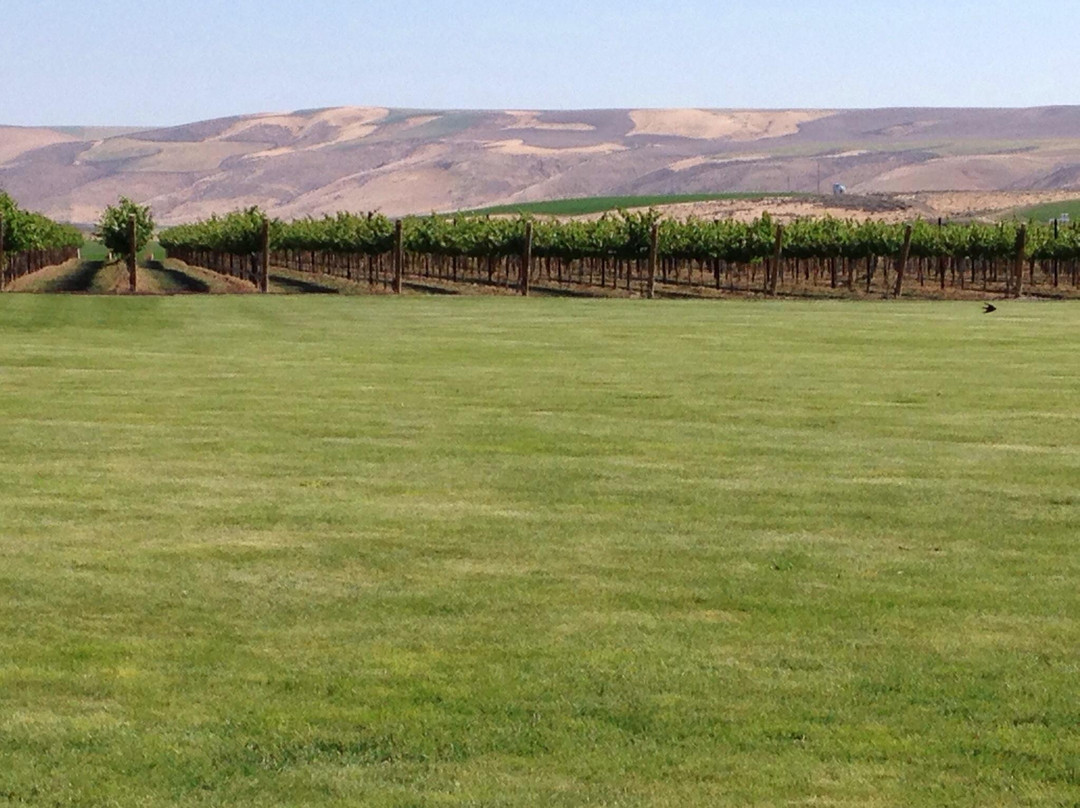 Goose Ridge Winery-Richland必去景点