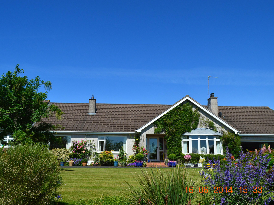 Ballymena酒店住宿-Meadowview B&B
