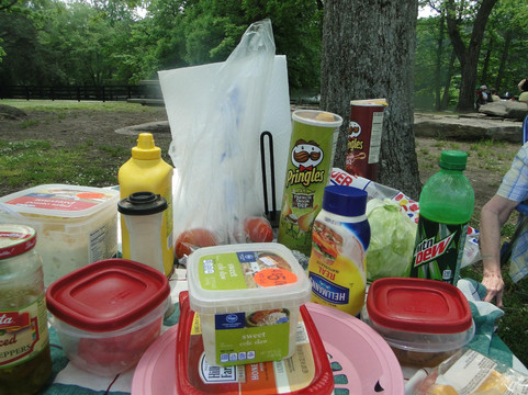 Sims Lake Park-苏万尼必去景点