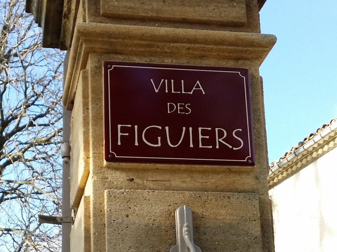 Villa Des Figuiers主图
